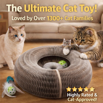 🔥Last Day Buy 1 Get 1 Free $19.99 Each🐱The Ultimate Cat Playground & Cozy Bed – All in One!🛌