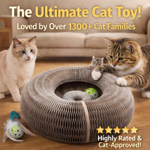 🔥Last Day Buy 1 Get 1 Free $19.99 Each🐱The Ultimate Cat Playground & Cozy Bed – All in One!🛌