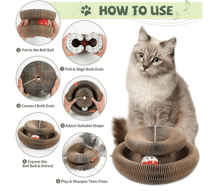 🔥Last Day Buy 1 Get 1 Free $19.99 Each🐱The Ultimate Cat Playground & Cozy Bed – All in One!🛌