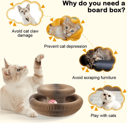 🔥Last Day Buy 1 Get 1 Free $19.99 Each🐱The Ultimate Cat Playground & Cozy Bed – All in One!🛌