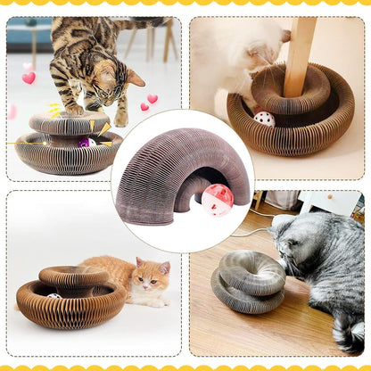 🔥Last Day Buy 1 Get 1 Free $19.99 Each🐱The Ultimate Cat Playground & Cozy Bed – All in One!🛌