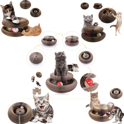 🔥Last Day Buy 1 Get 1 Free $19.99 Each🐱The Ultimate Cat Playground & Cozy Bed – All in One!🛌