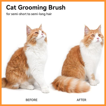 🔥Last Day Buy 1 Get 1 Free $19.99 Each🔥Premium pet brush with steam function