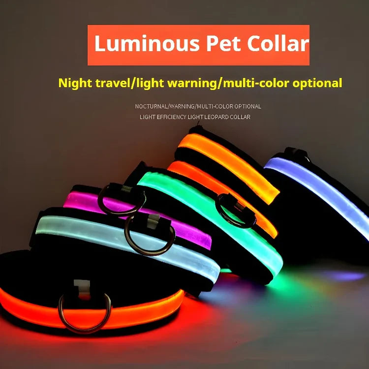 [JEREMYTIS]🌟LED Safety Glowing Flashing Dog Collar Night Illuminated Glow In The Dark🐕