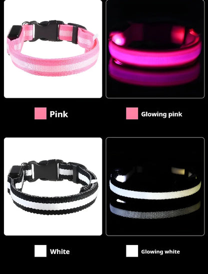 [JEREMYTIS]🌟LED Safety Glowing Flashing Dog Collar Night Illuminated Glow In The Dark🐕
