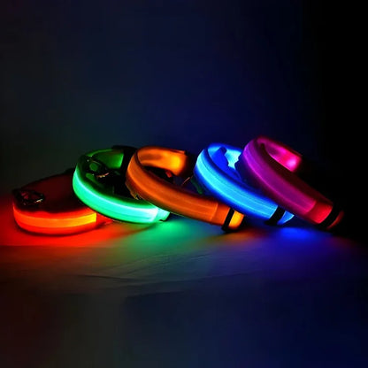 [JEREMYTIS]🌟LED Safety Glowing Flashing Dog Collar Night Illuminated Glow In The Dark🐕