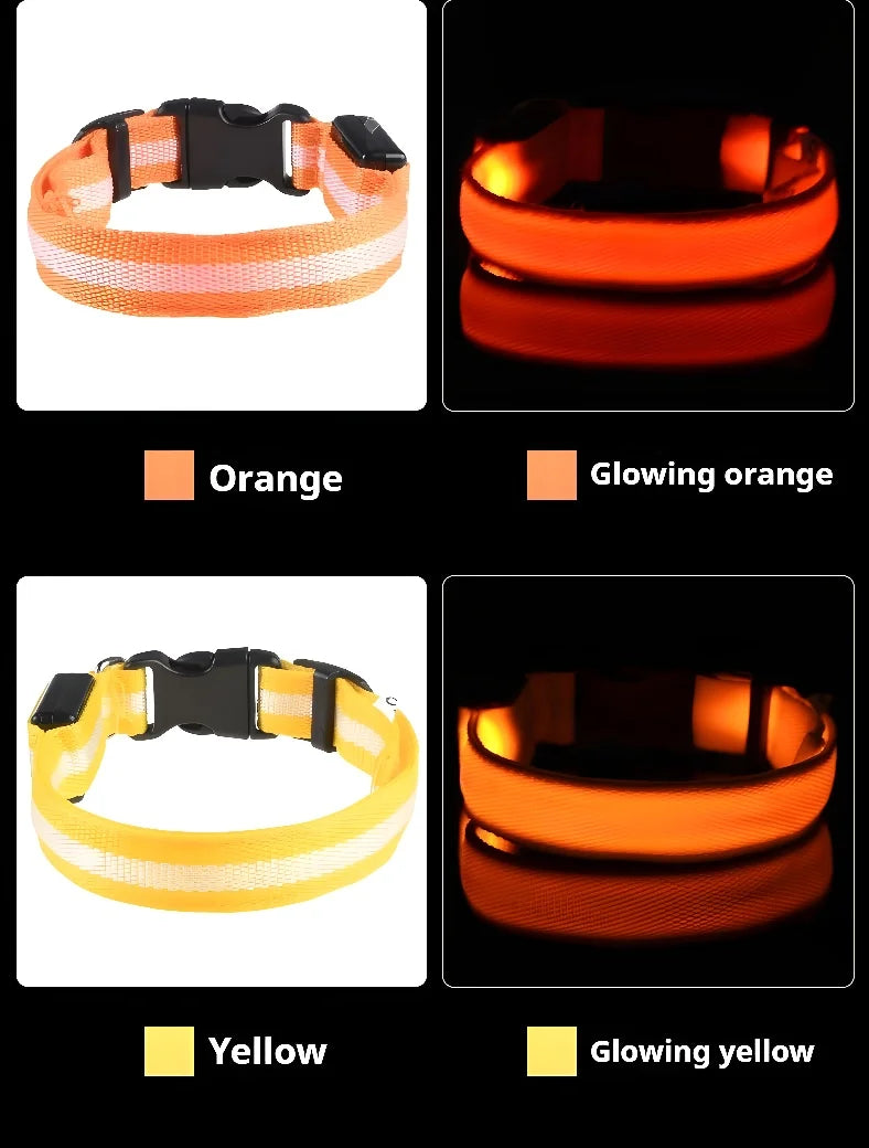 [JEREMYTIS]🌟LED Safety Glowing Flashing Dog Collar Night Illuminated Glow In The Dark🐕