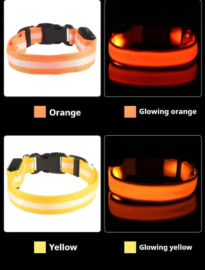 [JEREMYTIS]🌟LED Safety Glowing Flashing Dog Collar Night Illuminated Glow In The Dark🐕