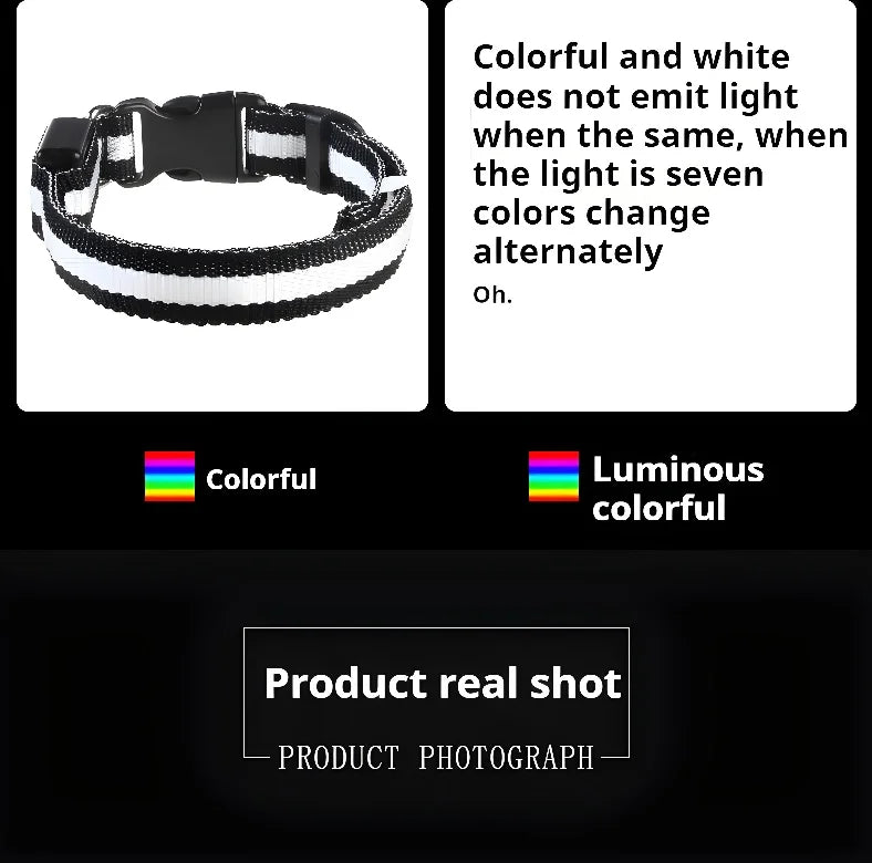 [JEREMYTIS]🌟LED Safety Glowing Flashing Dog Collar Night Illuminated Glow In The Dark🐕
