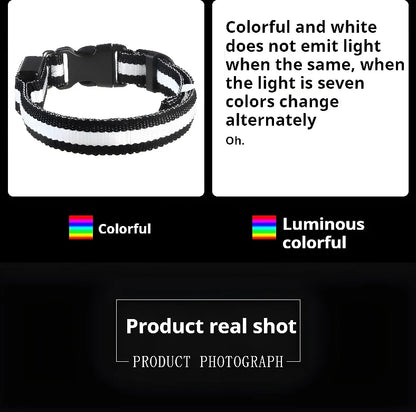 [JEREMYTIS]🌟LED Safety Glowing Flashing Dog Collar Night Illuminated Glow In The Dark🐕