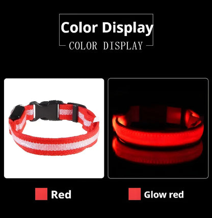 [JEREMYTIS]🌟LED Safety Glowing Flashing Dog Collar Night Illuminated Glow In The Dark🐕