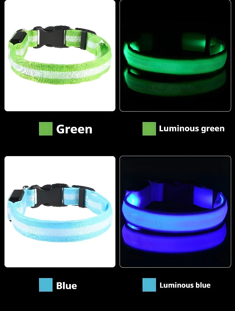 [JEREMYTIS]🌟LED Safety Glowing Flashing Dog Collar Night Illuminated Glow In The Dark🐕