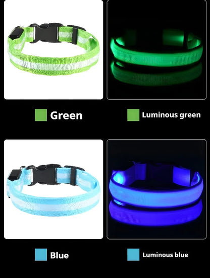 [JEREMYTIS]🌟LED Safety Glowing Flashing Dog Collar Night Illuminated Glow In The Dark🐕