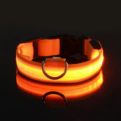 [JEREMYTIS]🌟LED Safety Glowing Flashing Dog Collar Night Illuminated Glow In The Dark🐕