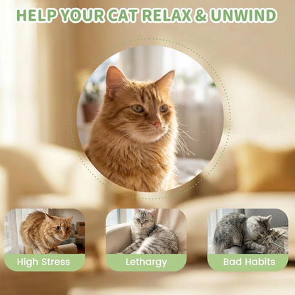 🎁✨💖Last Day 50% OFF🔥3 Pack Catnip Toys for Cats– Endless Fun for Your Cat🐈